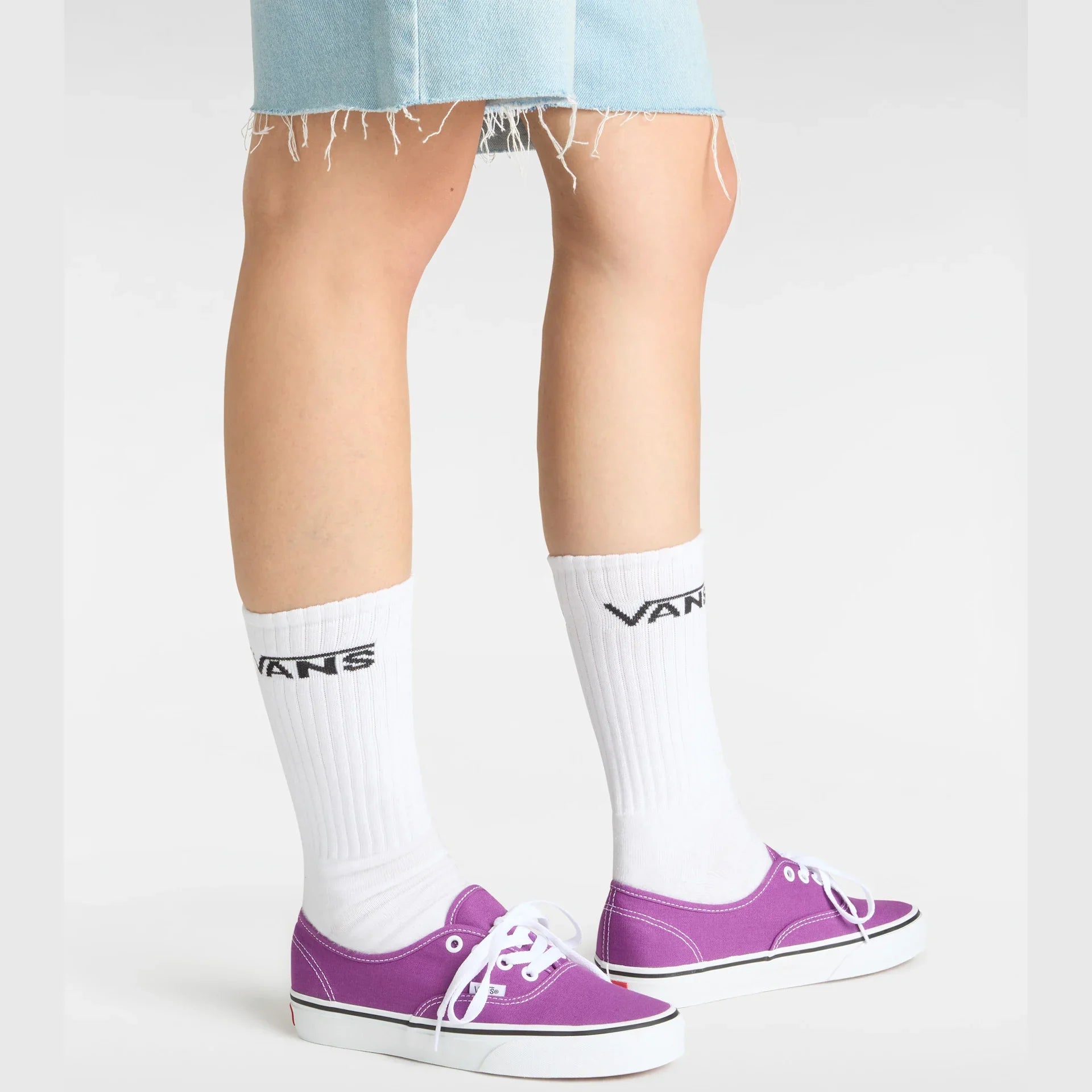 VANS Authentic COLOR THEORY Willowherb Cipő kép 5