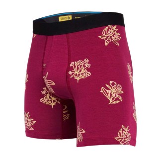 GRANDMAS BOY BOXER BRIEF